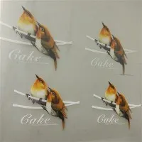 Fèy bèt kay pou enprime UV